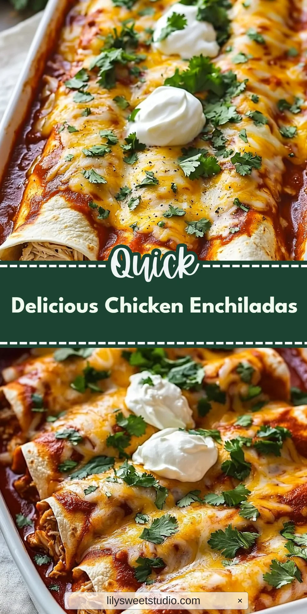 Delicious Chicken Enchiladas