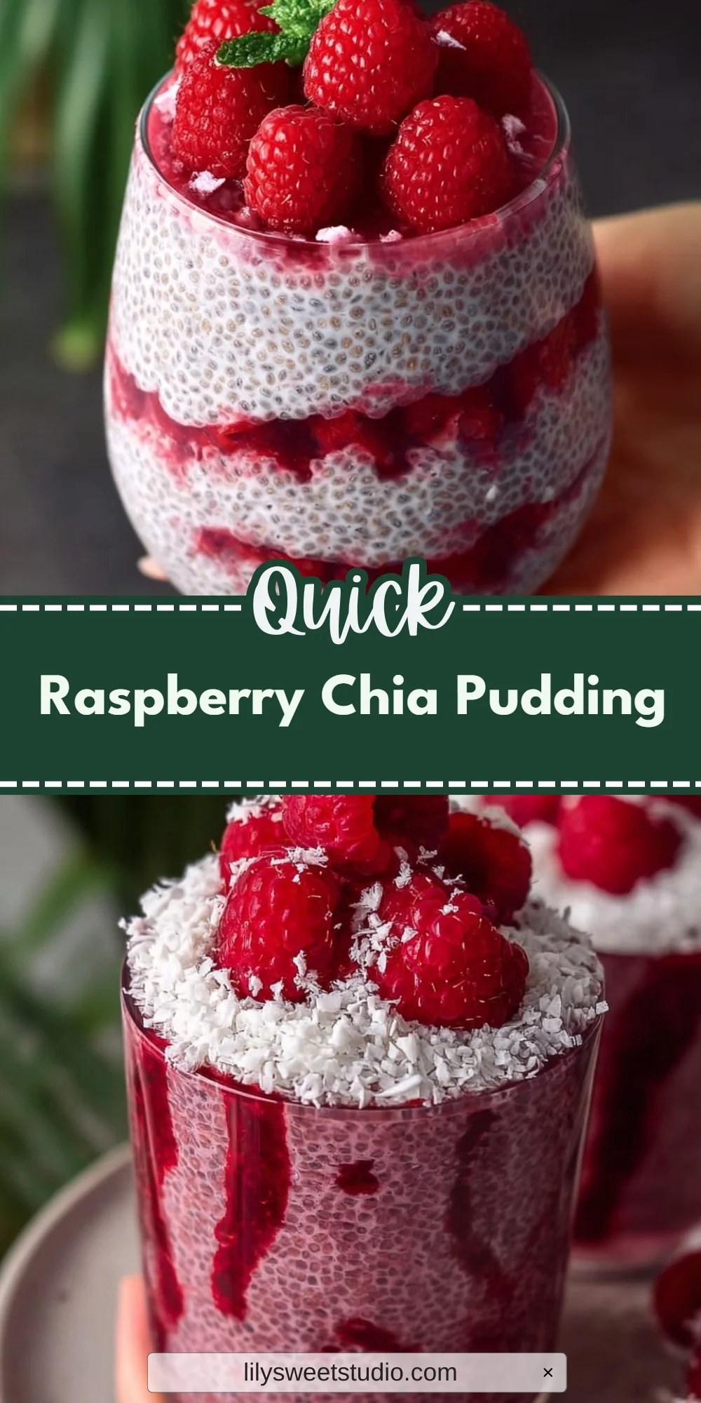 Raspberry Chia Pudding