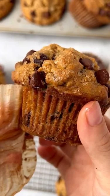 Healthy Oat and Chocolate Chip Muffins