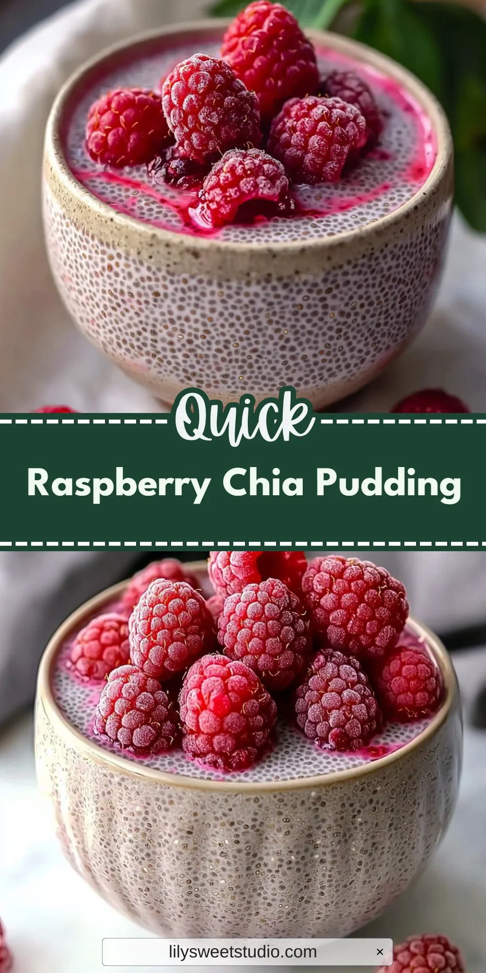 Raspberry Chia Pudding