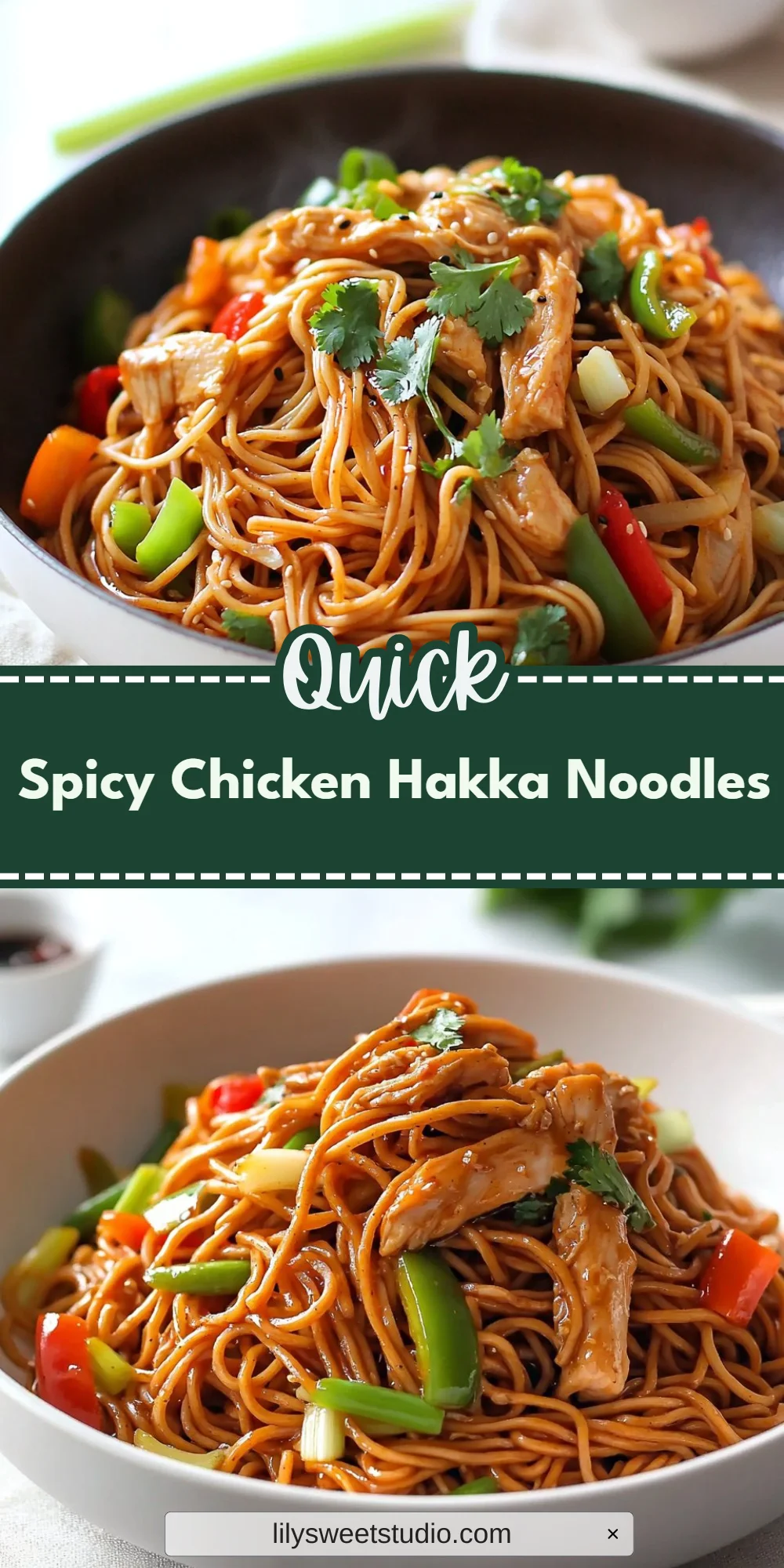 Spicy Chicken Hakka Noodles